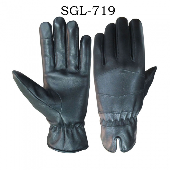 SGL-719